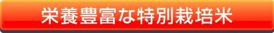 栄養豊富な特別栽培米
