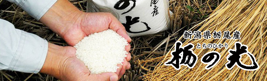 新潟県栃尾産栃の光とちのひかり